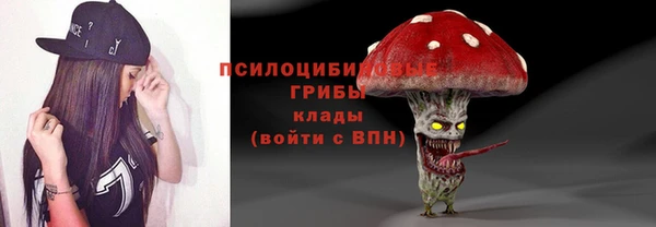 хмурый Нягань